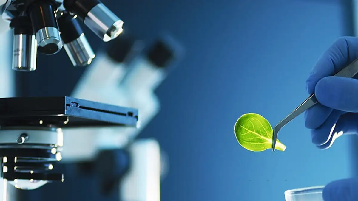 cabang_cabang_biologi